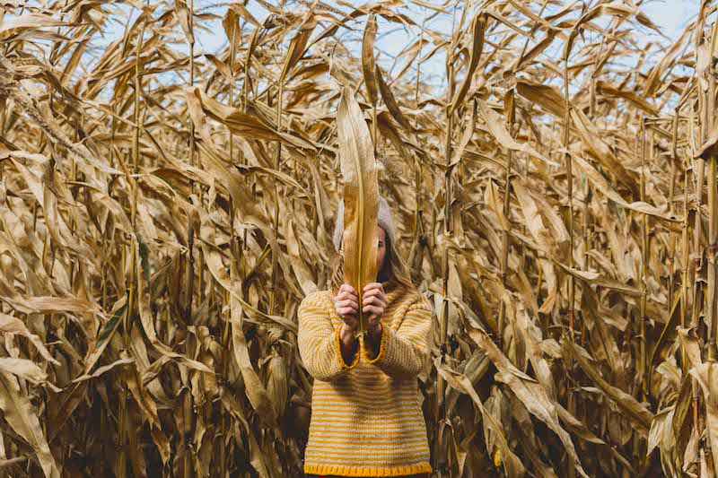 Corn Maze, Hurley, NY
