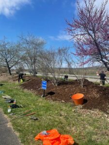 The UCBR berme getting a much needed makeover by the UCBR Community Service Committee