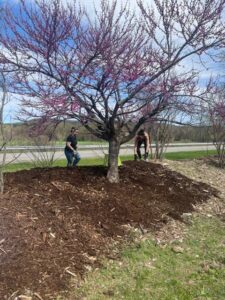 The UCBR team giving our Berme a spring spruce up on April 14th