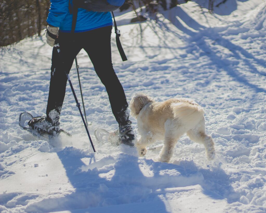 winter fun outside in Ulster County