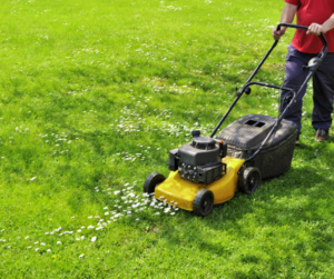 Mow Lawn to help sell home in summer